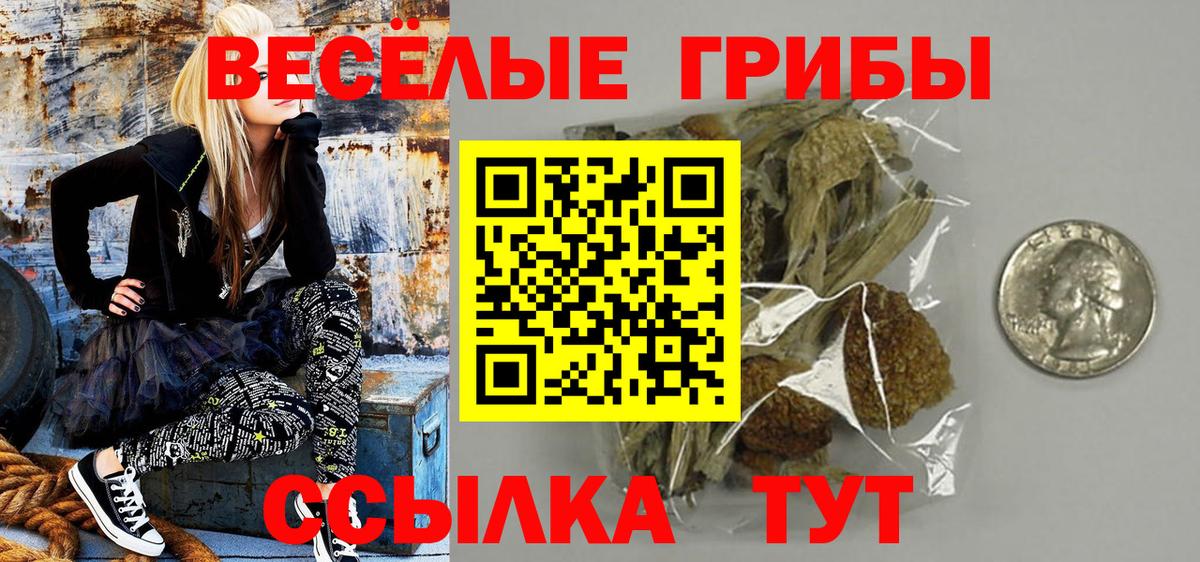 Галлюциногенные грибы Cubensis  Вход с VPN  Богданович 
